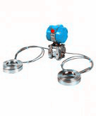 1151DP/GP型差压草莓视频APP色版（带远传）