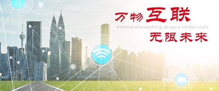 LEEG单晶硅压力草莓视频APP色版新产品发布，敬请期待！